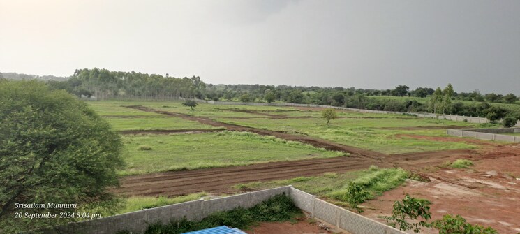 undefined, shankarpalli  200 Sq.Yd. Plot In Shankarpalli Hyderabad 7693223