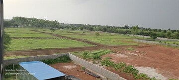 Plot Area in  Plot at Shankarpalli – for Sale