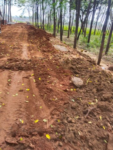 Plot Area in  Plot at Kolanupaka – for Sale