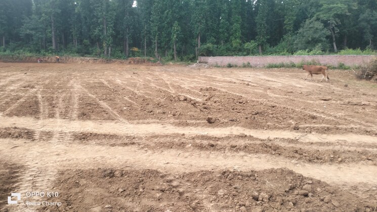 undefined, raipur  135 Sq.Yd. Plot In Raipur Dehradun 7693743