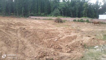 Plot Area in  Plot at Raipur – for Sale