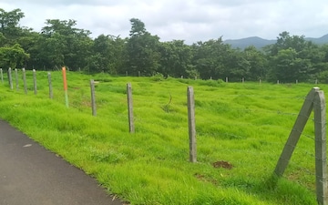 Plot For Sale in Mangaon