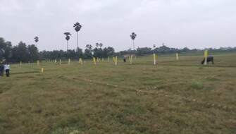 Plot For Resale in Bagepalli Bangalore  7687683