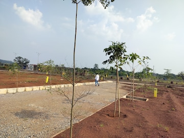 Plot For Resale in Sadashivpet Hyderabad  7694471