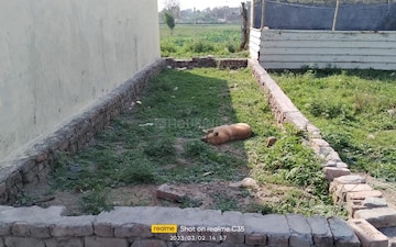 Plot For Sale in Sector 91