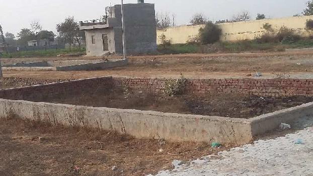 Plot For Resale in Sector 105 Faridabad  7694592