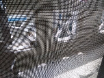 रेसिडेंशियल फ्लैट वर्ग फुट फॉर रेंट इन सेक्टर 11 द्वारका दिल्ली  7694765