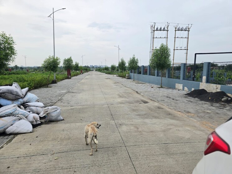 undefined, gumgaon  1049 Sq.Ft. Plot In Gumgaon Nagpur 7695148