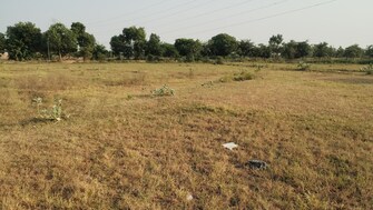 Commercial Land 100 Sq.Yd. For Resale in Jajru Faridabad  7695335