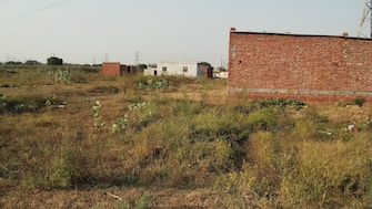 Commercial Land 100 Sq.Yd. For Resale in Jajru Faridabad  7695335