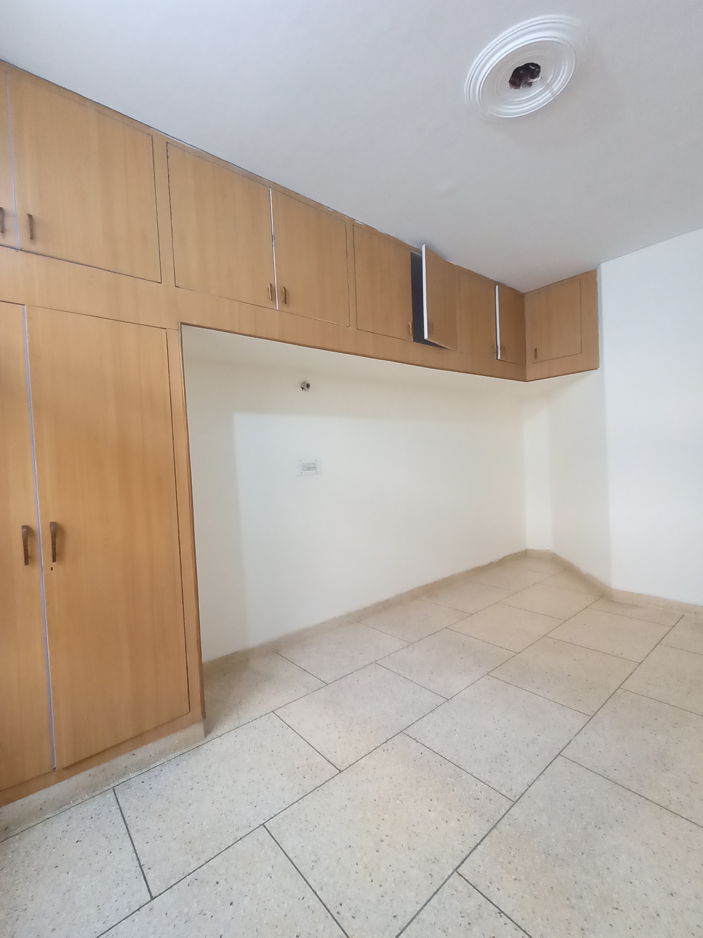 Rental 1 Bedroom 1800 Sq.Ft. Independent House in Sector 15 Panchkula