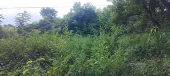 Plot For Rent in Rai Durg Hyderabad  7695680