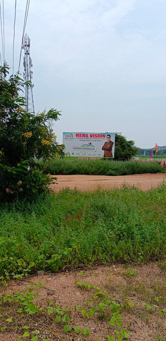 Plot For Resale in Yadagirigutta Hyderabad  7696287