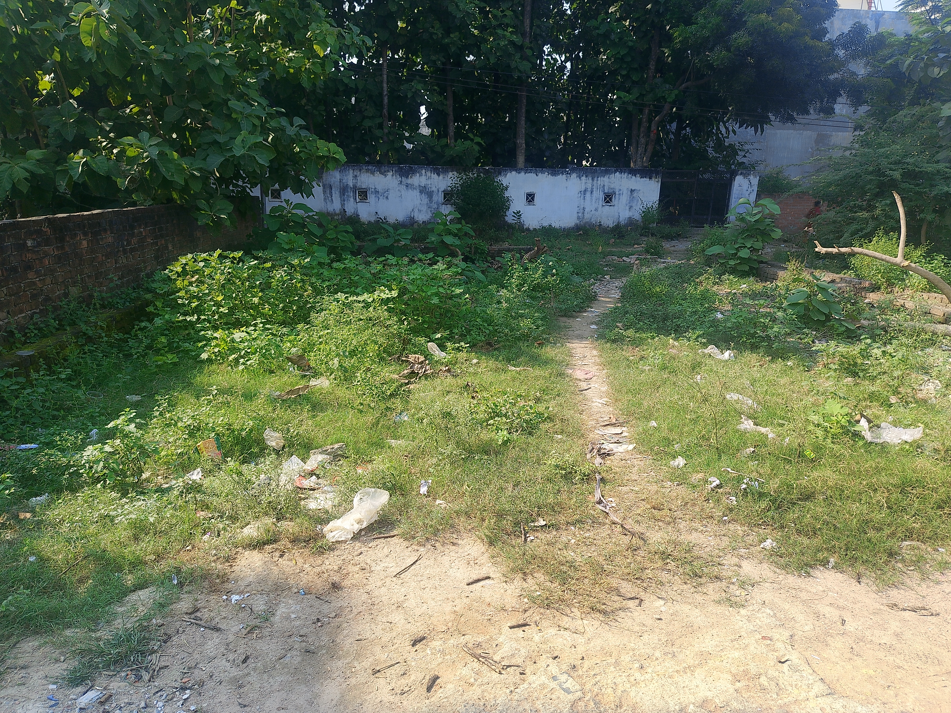 Plot For Resale in Chinhat Lucknow  7696306