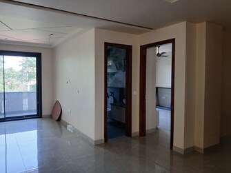 3.5 BHK Builder Floor For Rent in Sector 13 Hisar  7696734