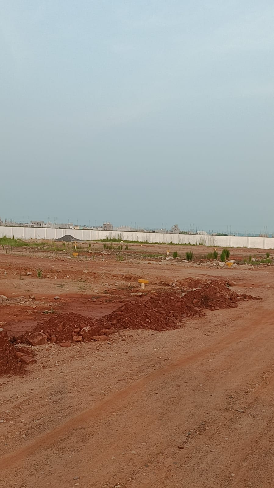 Plot For Resale in Vaddeswaram Vijayawada  7697091