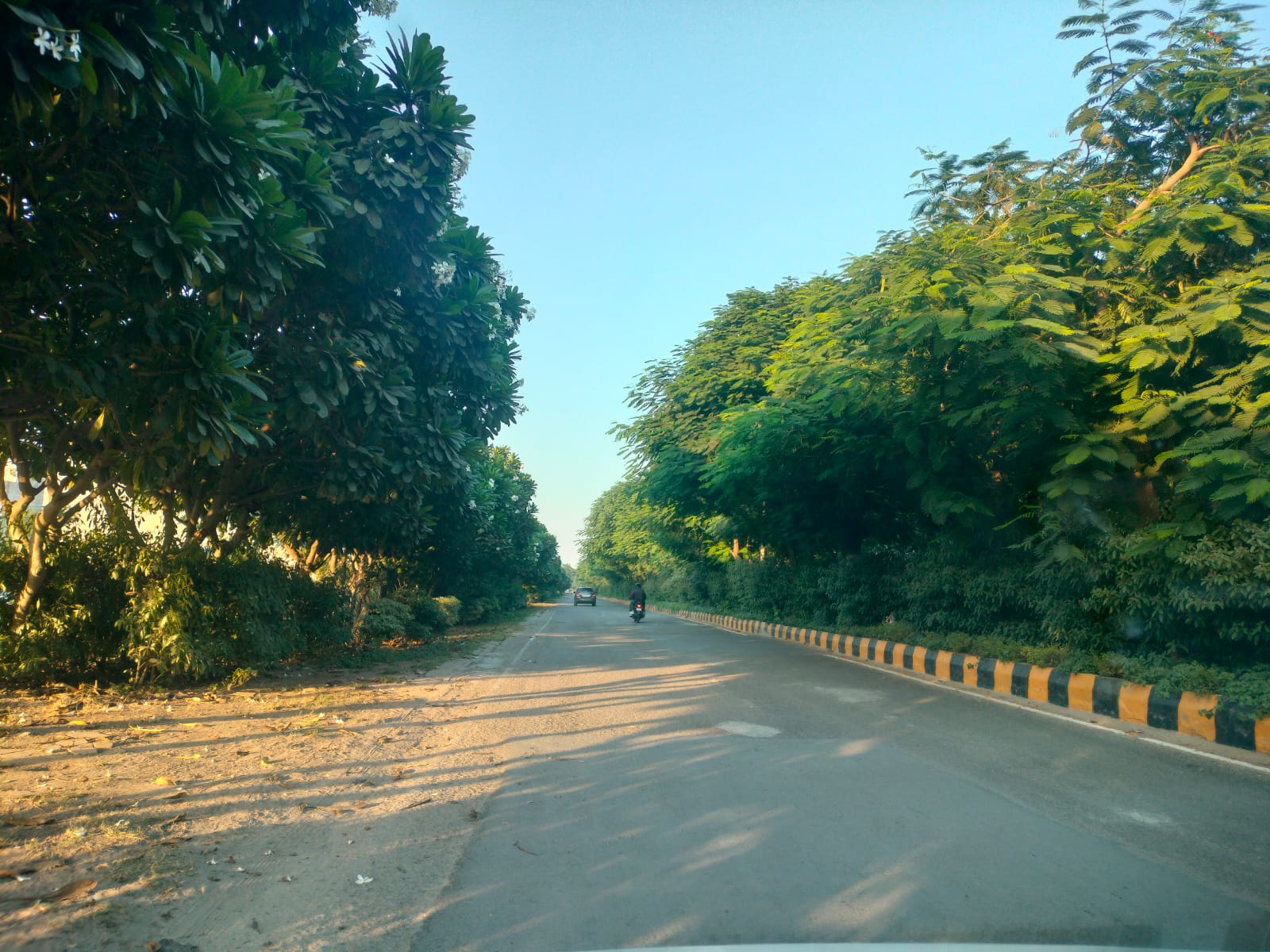 रेसिडेंशियल प्लॉट वर्ग यार्ड फॉर रीसेल इन तिलपाता करणवास ग्रेटर नोएडा  7697259