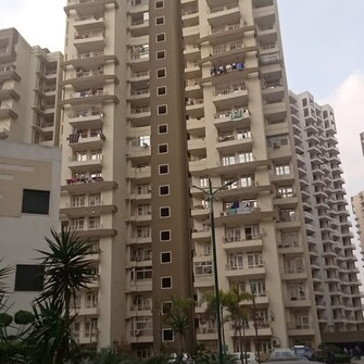 2.5 BHK Apartment For Resale in Aims Golf Green Amrapali Leisure Valley Greater Noida  7697312