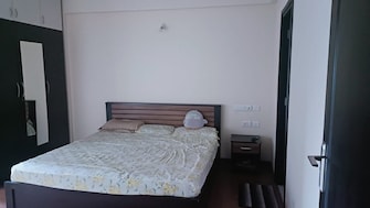 3 BHK Apartment For Rent in Shriram Summitt Electronic City Phase I Bangalore  7697004