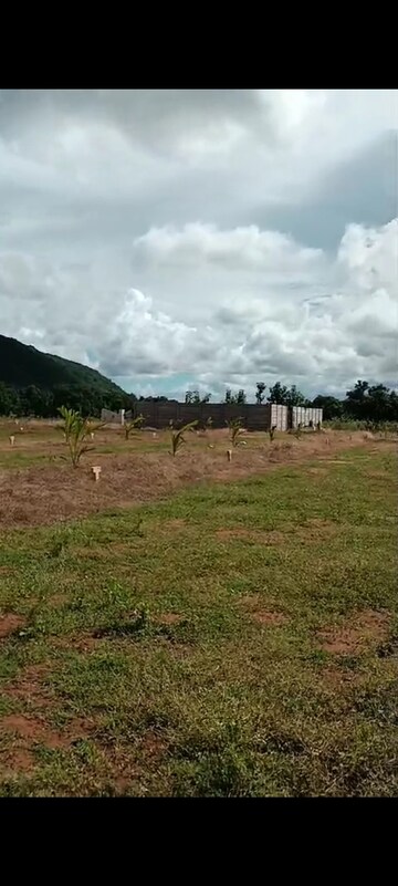 Plot Area in  Plot at Nunna – for Sale