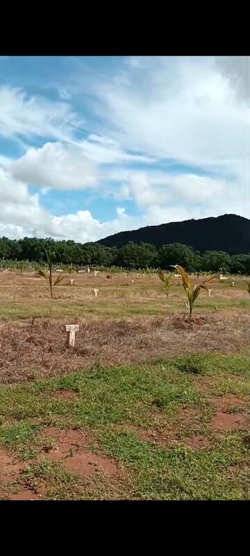  Plot For Sale in Nunna