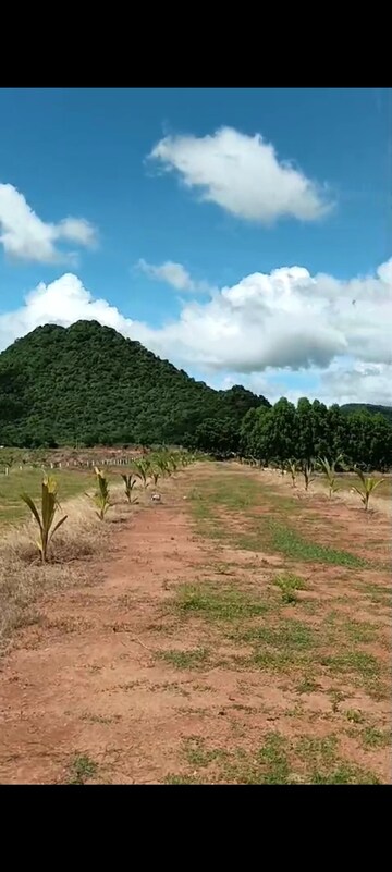 Plot Area in  Plot at Nunna – for Sale