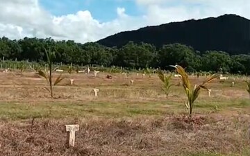 Plot For Sale in Nunna