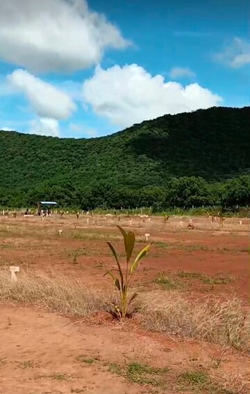 Plot Area in  Plot at Nunna – for Sale