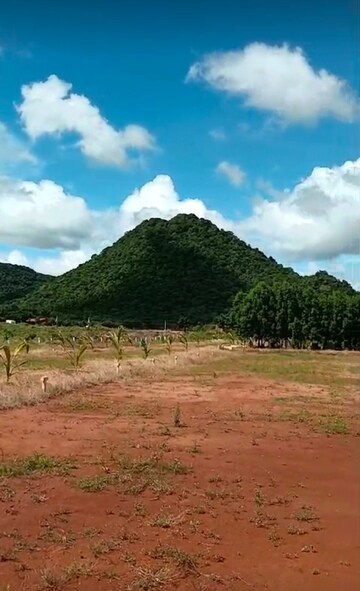 Plot Area in  Plot at Nunna – for Sale