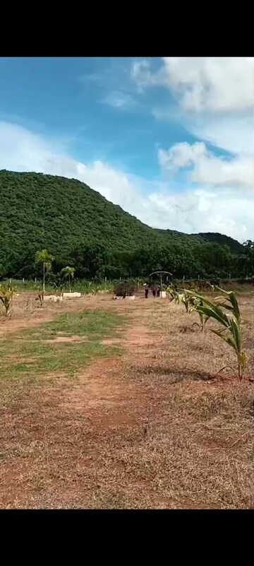 Plot Area in  Plot at Nunna – for Sale