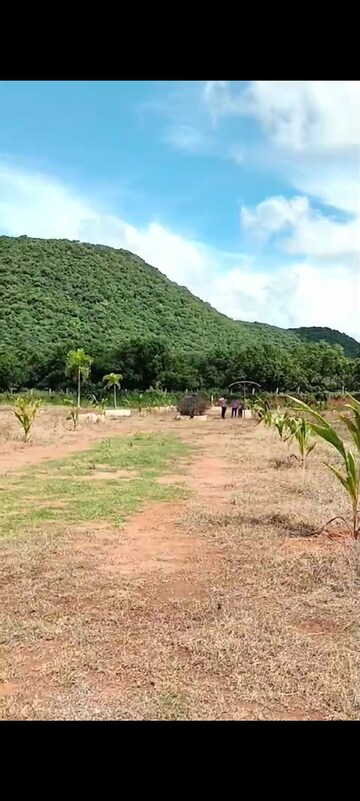 Plot Area in  Plot at Gosala – for Sale