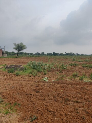 Plot Area in  Plot at Dalelpura – for Sale