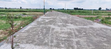 Plot Area in  Plot at Tappal – for Sale