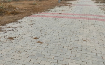 Land For Sale in Bahalgarh