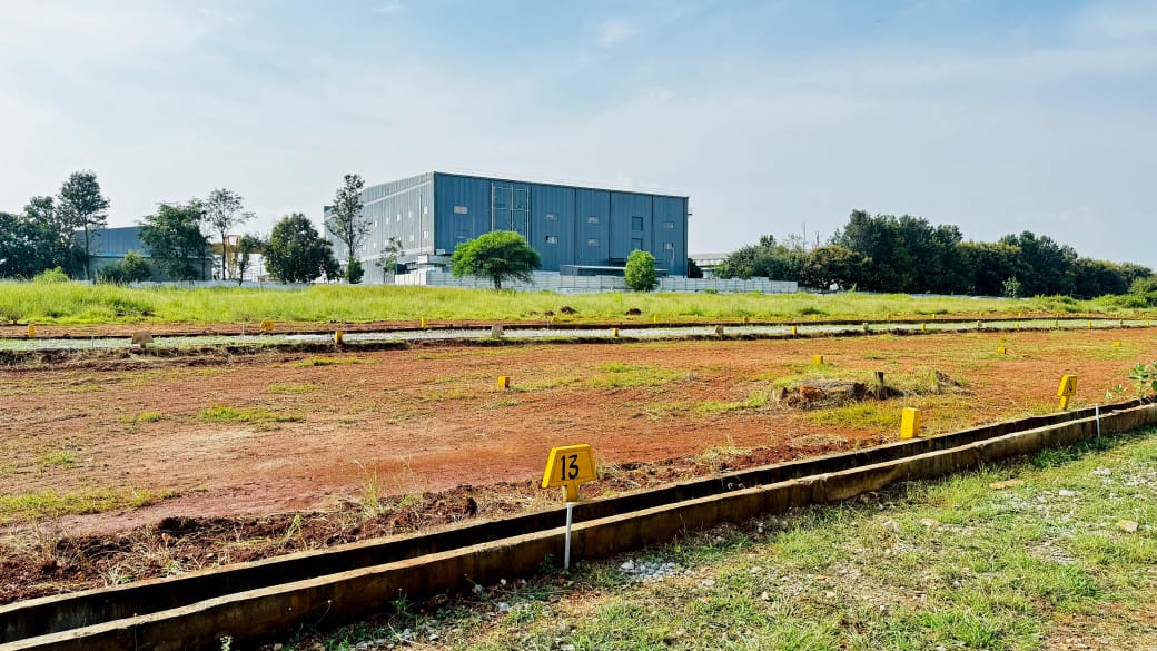 Plot For Resale in Anekal Bangalore  7698237