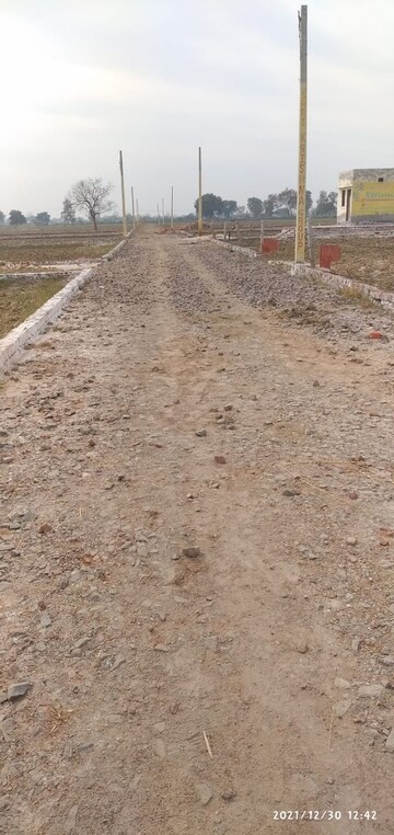 Plot Area in  Plot at Chhata – for Sale