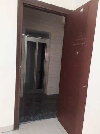 3 BHK Builder Floor For Rent in Govindpuri Delhi  7698692