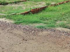 Plot For Resale in Faridabad Central Faridabad  7699015