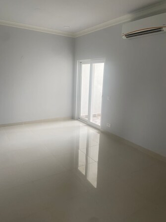 3 BHK Apartment For Rent in Central Park Flower Valley Aqua Front Towers Sohna Sector 33 Gurgaon  7699100