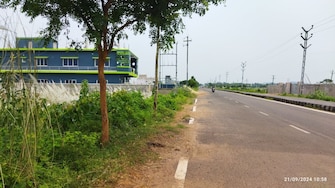 Plot For Resale in Paniora Bhubaneswar  7699452