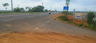 Plot For Resale in Paniora Bhubaneswar  7699452