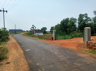 Plot For Resale in Paniora Bhubaneswar  7699452