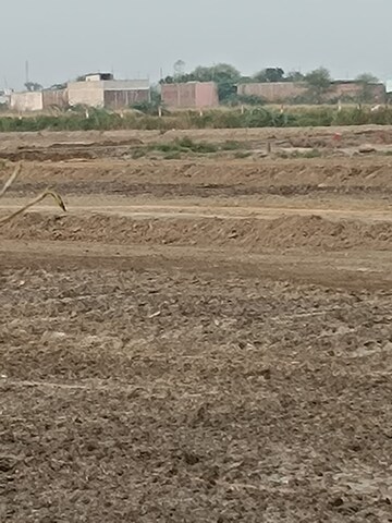 Plot Area in  Plot at Sohna Sector 16 – for Sale