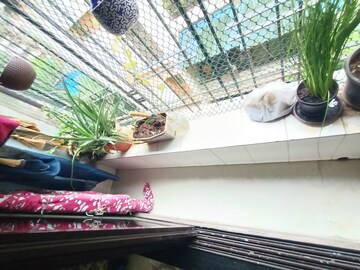 2 BHK Apartment – Exterior View View at Dombivli West - for Sale