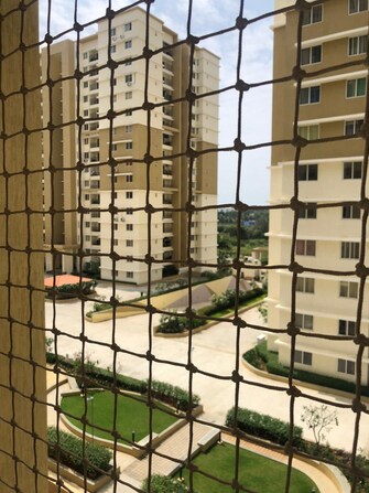 2 BHK Apartment For Rent in Prestige Royale Gardens Gantiganahalli Bangalore  7700427