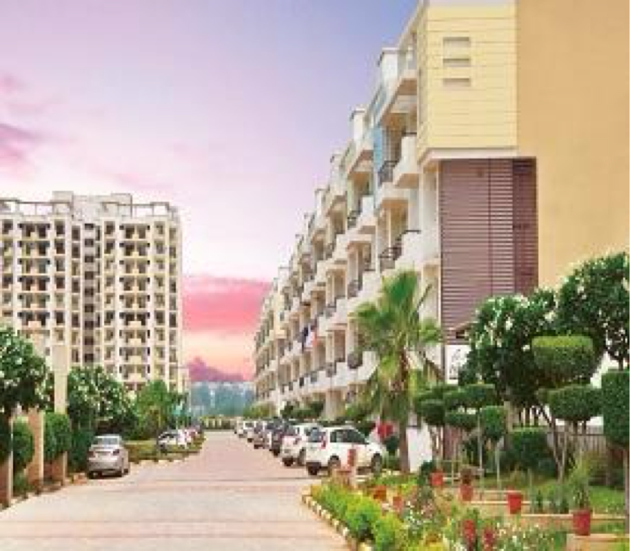 3 BHK Apartment For Rent in NK Sharma Savitry Greens 2 Gazipur Zirakpur  7700740