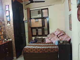 3 BHK Builder Floor For Rent in Mayur Vihar Phase 1 Delhi  7700816