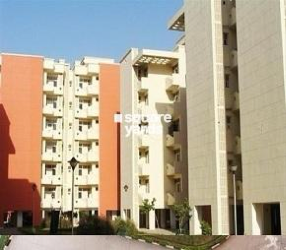 3 BHK Apartment For Rent in Mittals Rishi Apartments Chandigarh Bishanpura Zirakpur  7700826