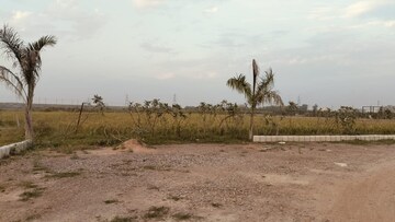 Plot Area in  Plot at Sector 156 – for Sale