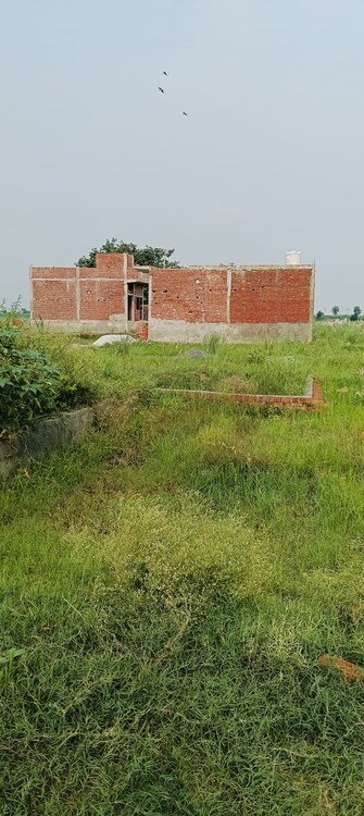 Plot For Resale in Bhopani Village Faridabad  7701803